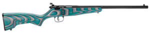 Savage Arms 13802 Rascal 22 LR Caliber with 1rd Capacity 16.12″ Barrel Matte Blued Metal Finish & Boyd’s Minimalist Gray/Teal Hybrid Stock Right Hand (Youth)